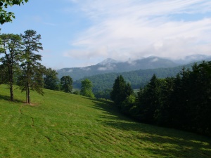 groene weides | Blue Ridge Mountains